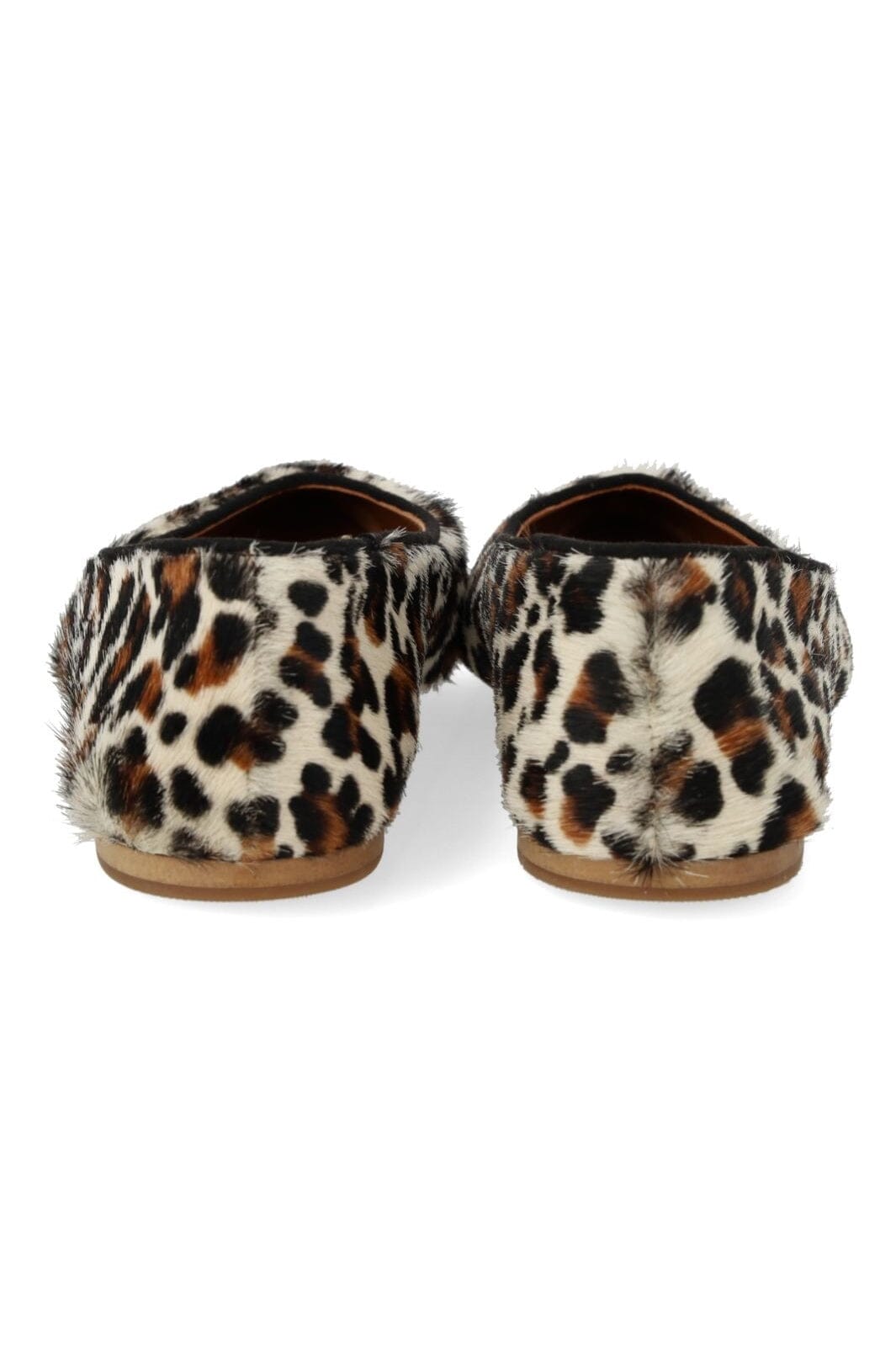 Angulus - 1711-101 1711-101 - Leopard/black