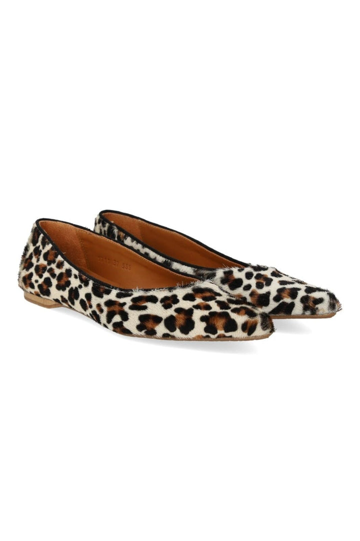 Angulus - 1711-101 1711-101 - Leopard/black