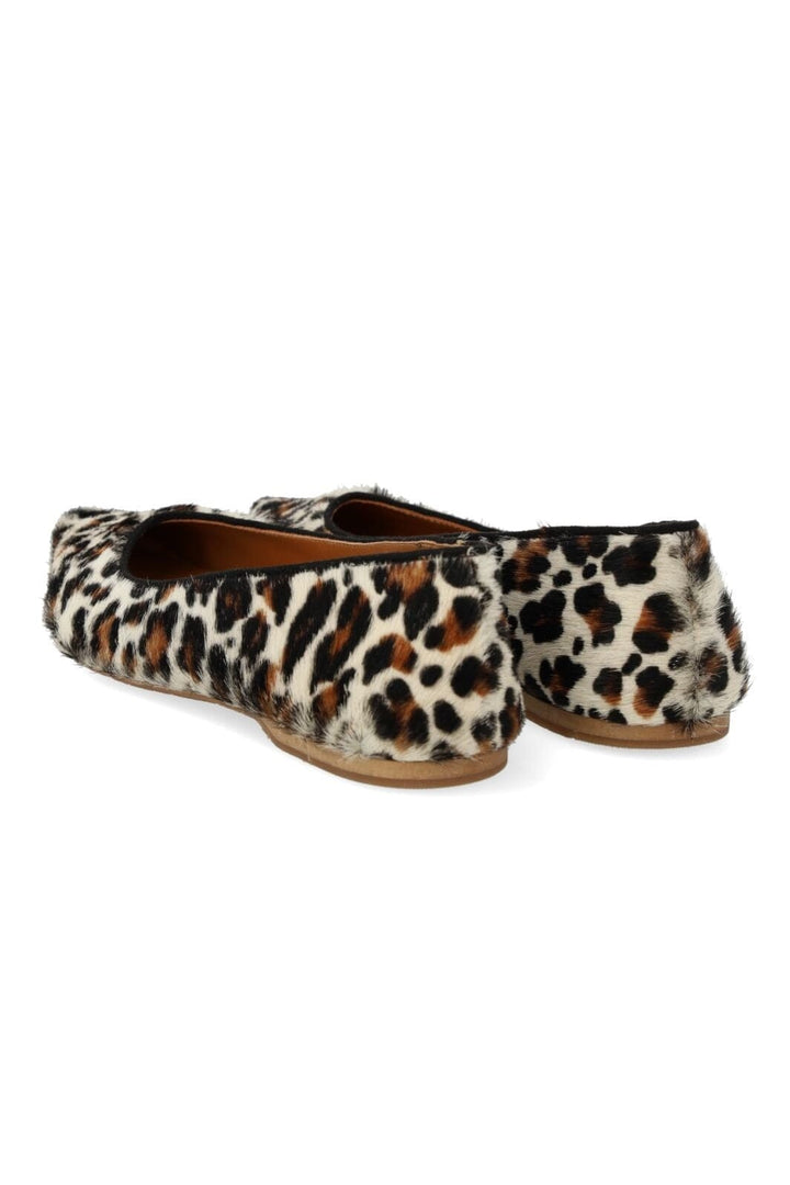 Angulus - 1711-101 1711-101 - Leopard/black