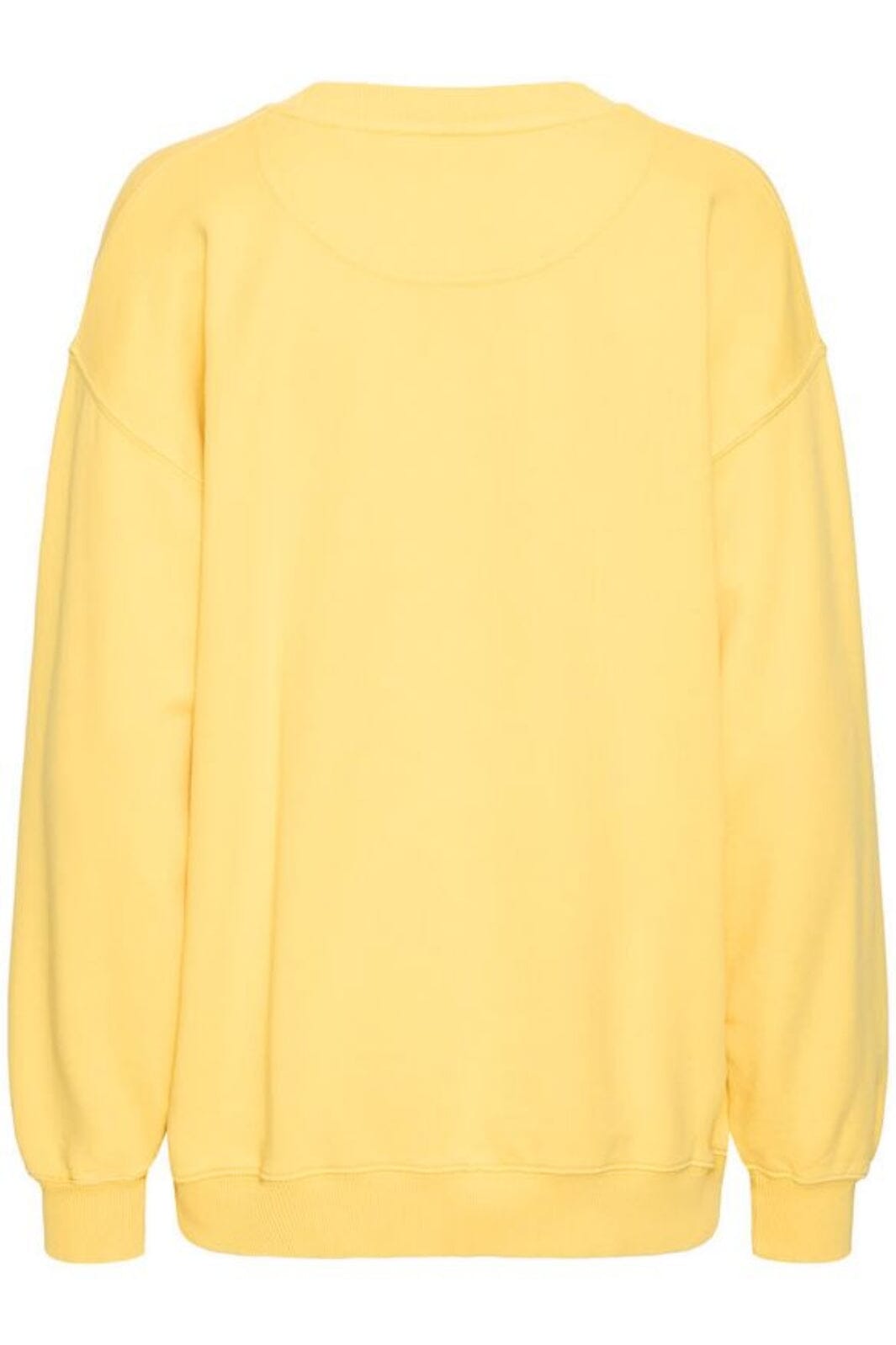 Ball - Bamaldini Crew Neck Sweat 50405125 - 140849 - Beach Ball