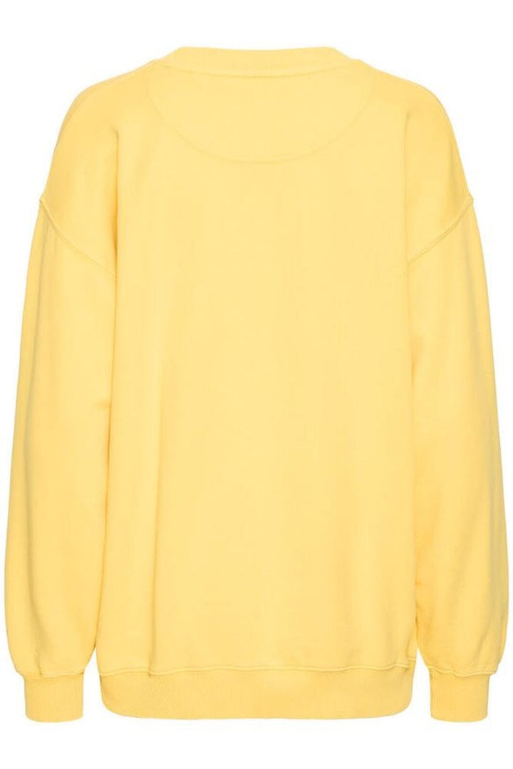 Ball - Bamaldini Crew Neck Sweat 50405125 - 140849 - Beach Ball