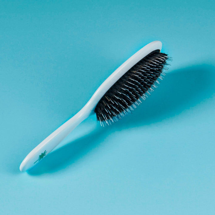 Fan Palm - Hair Brush Medium - Maldives Hårbørster