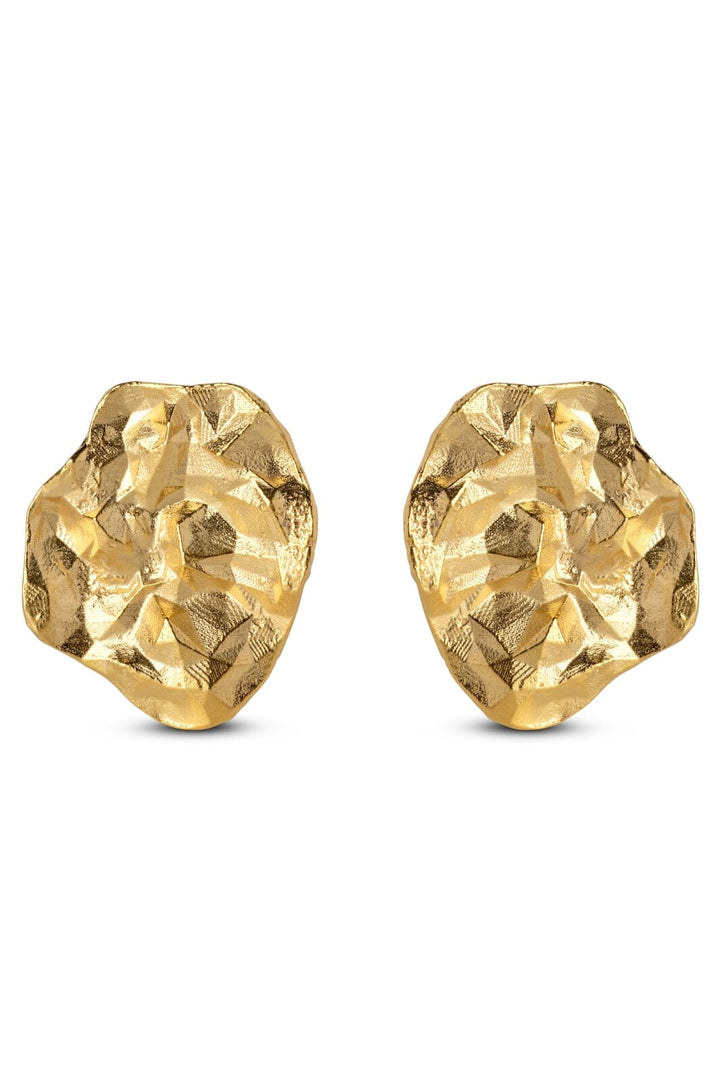 Forudbestilling - Enamel Copenhagen - Studs, Windy - 925S/Gp/M (Februar) Øreringe