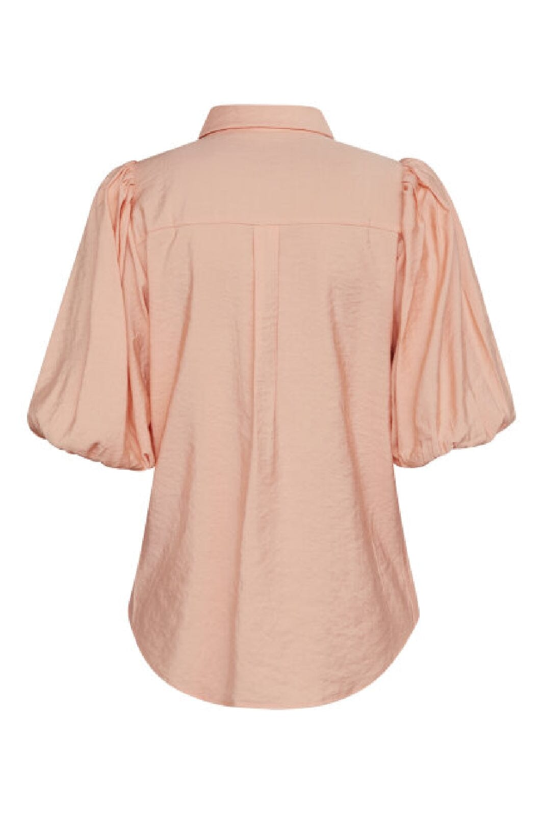 Sisters Point - Ella-Sh 12651 - 521 - Coral Reef