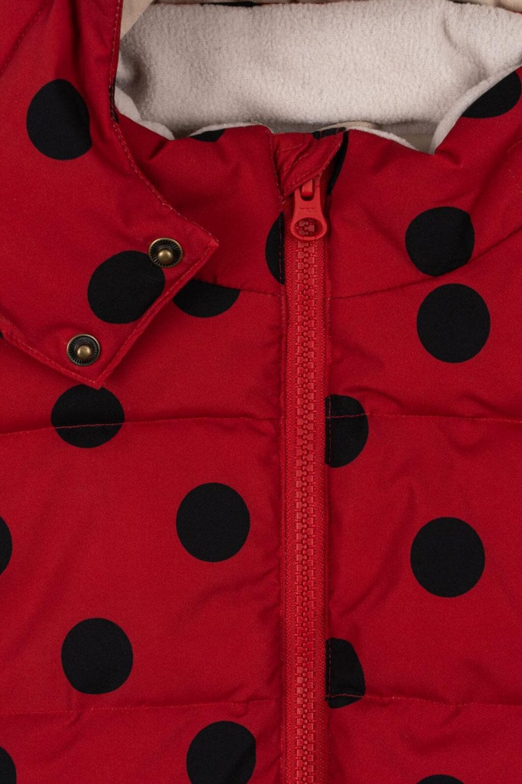 Konges Sløjd - Nuka Ladybug Jacket Grs Ks103524 - Lady Dot