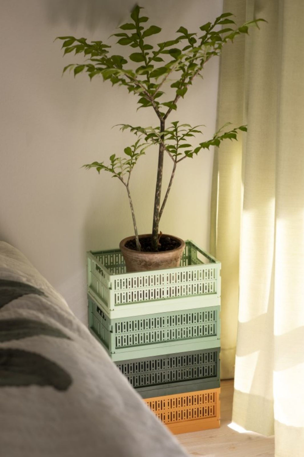 Made Crate - Made Crate Midi - Spring Green