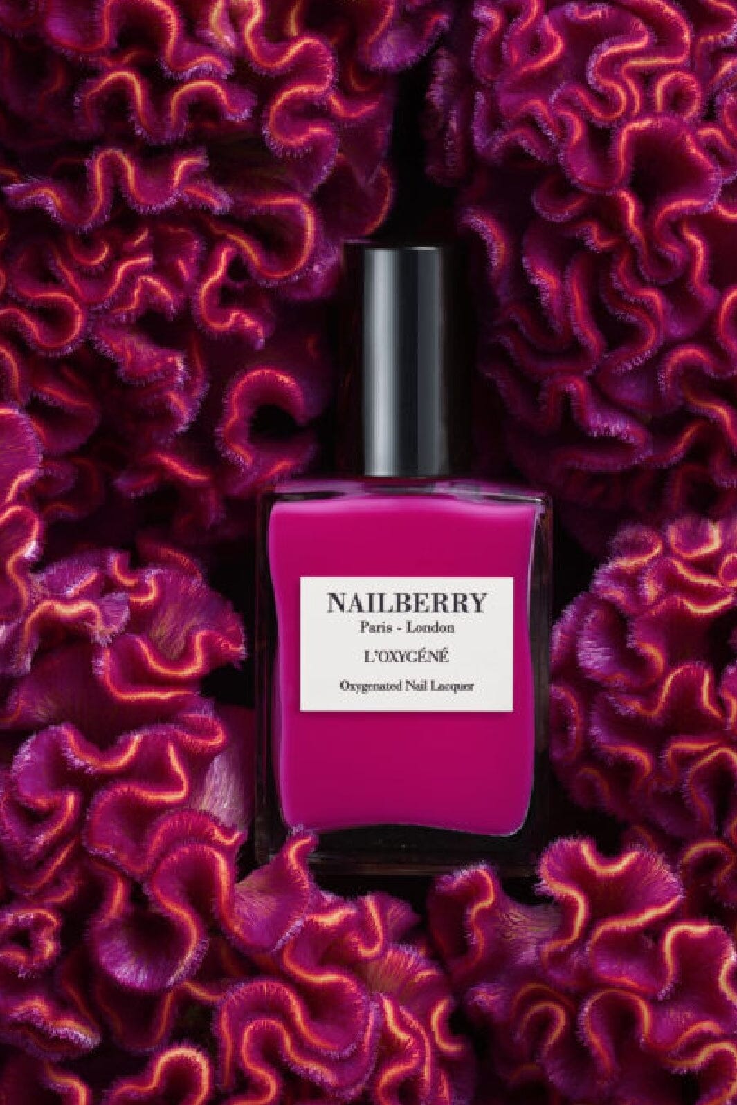 Nailberry - Hollywood Rose Neglelak