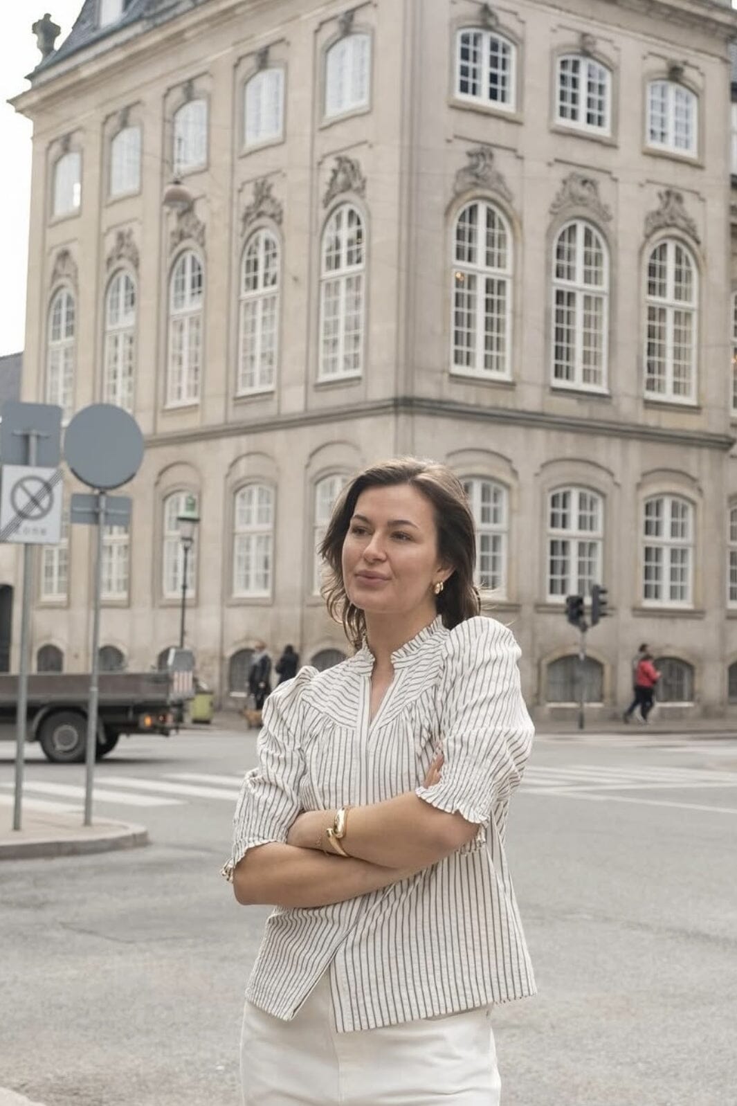 Neo Noir - Diana Crepe Stripe Blouse 165203 - 210 - Brown Bluser