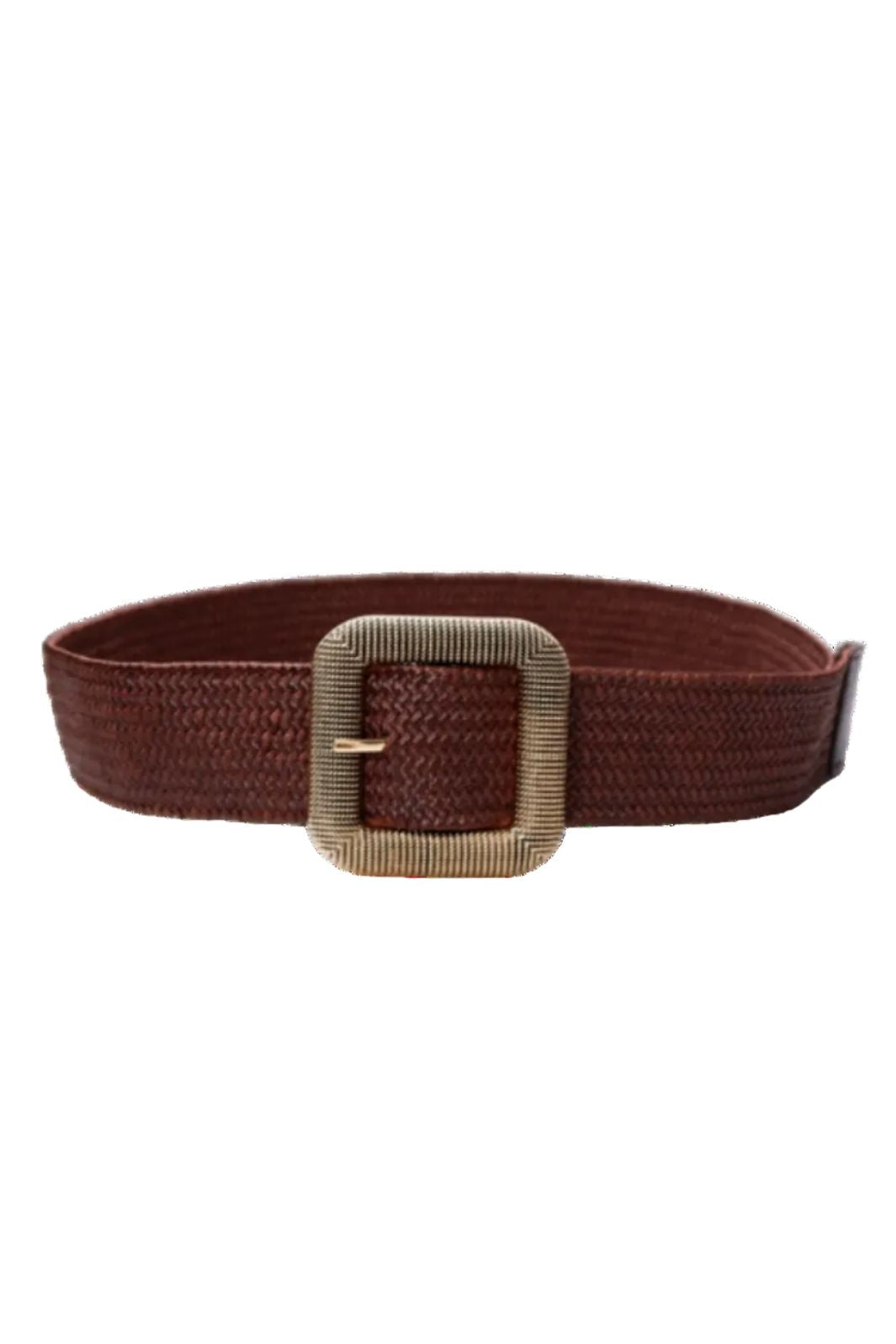 Black Colour - Bcabena Belt 10331 - Coffee