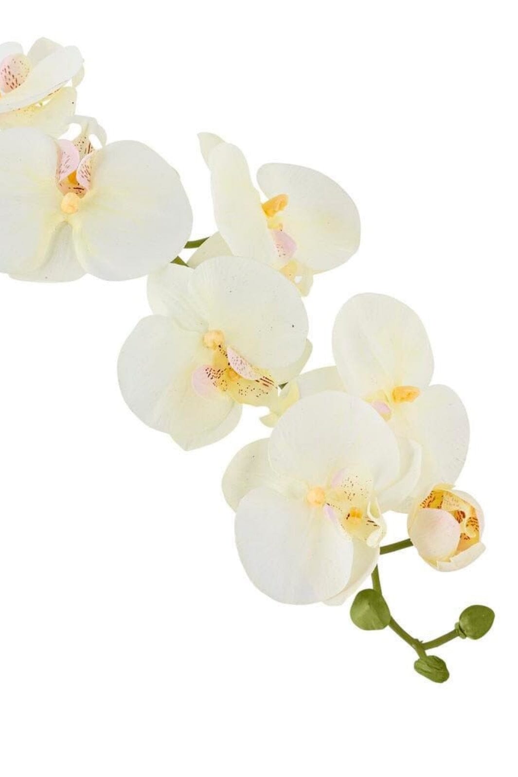 Bloomingville - Orchid Stilk, Hvid, Kunstige Blomster 82072093 - White
