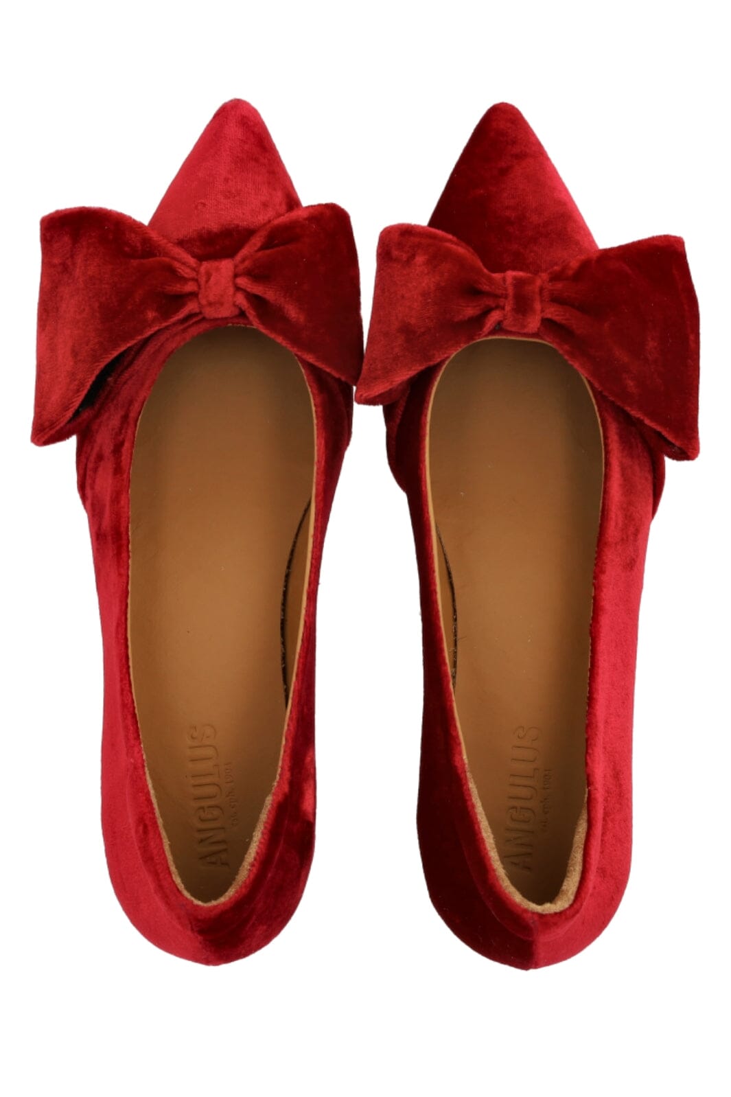 Angulus - 1550-107 1550-107 - Red