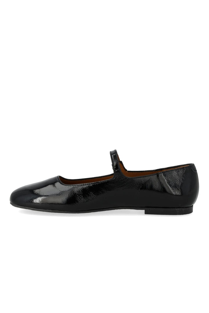Angulus - 1702-102 1702-102 - Black
