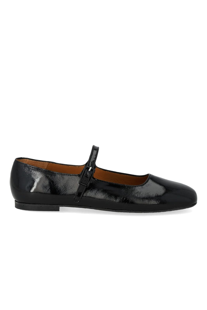 Angulus - 1702-102 1702-102 - Black