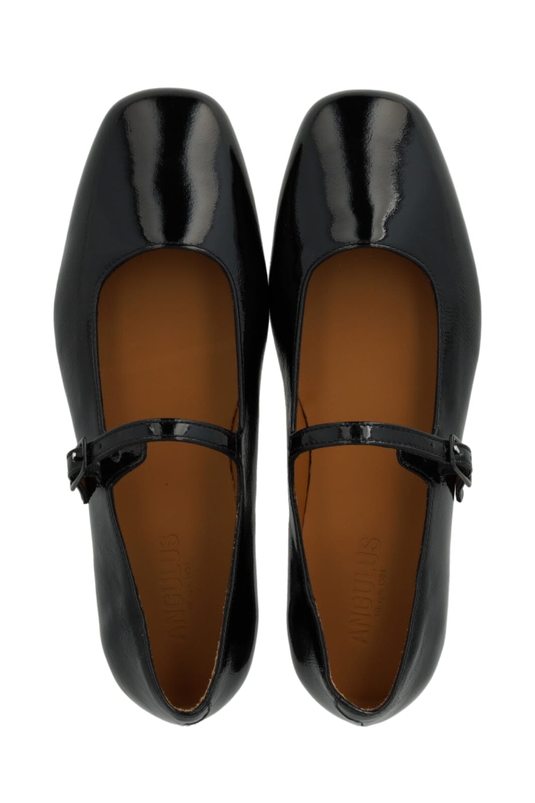 Angulus - 1702-102 1702-102 - Black