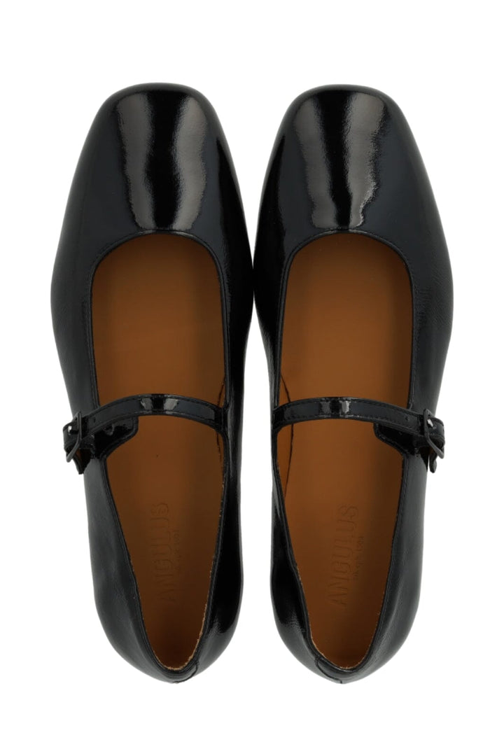 Angulus - 1702-102 1702-102 - Black