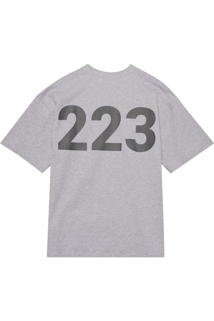 Halo - Graphic Boxy T-Shirt 230418 - 2010 - Light Grey Melange