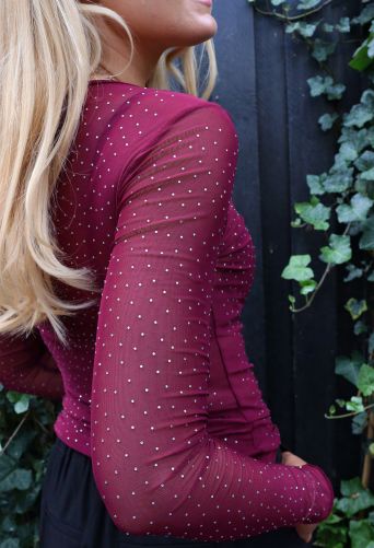 Liberte - Mesh Ls Sparkle Tshirt 22134 - Bordeaux Diamond Dot Bluser 