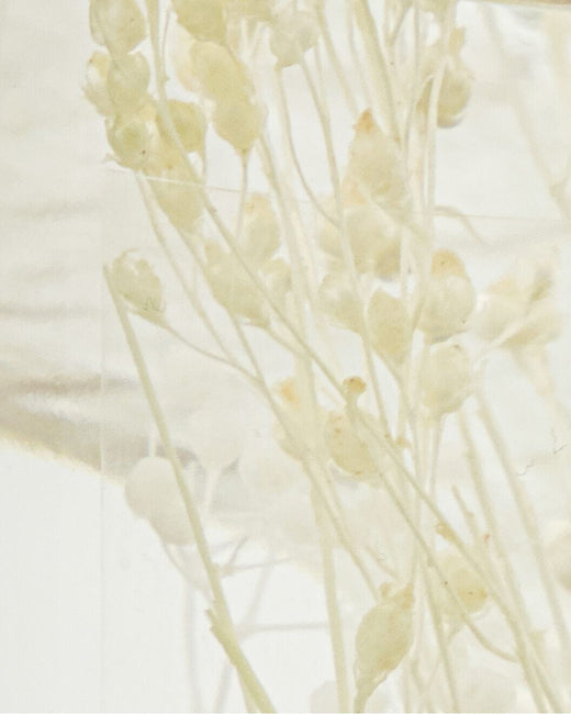 Meraki - Diffuser, Vivid Shades, 240 ml