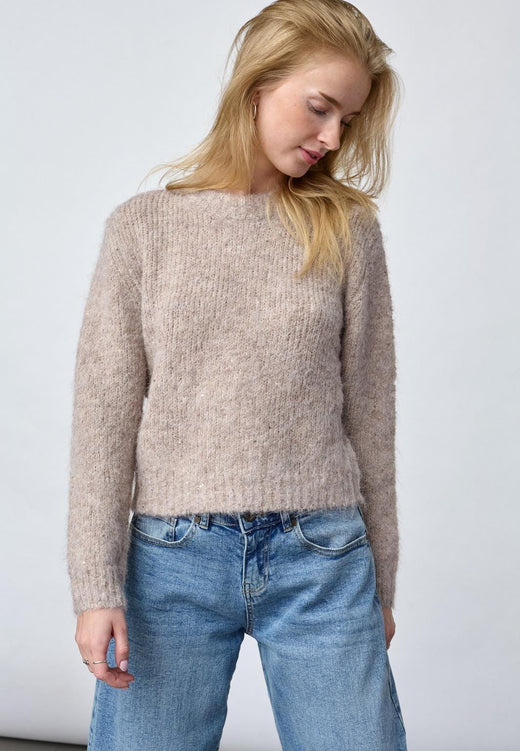 Sisters Point - Lessie-Pu 20157 - 116 - Beige Glitter Strikbluser 